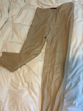 Zara Tan leather pants